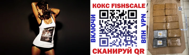 Cocaine FishScale  Купить  Емва 